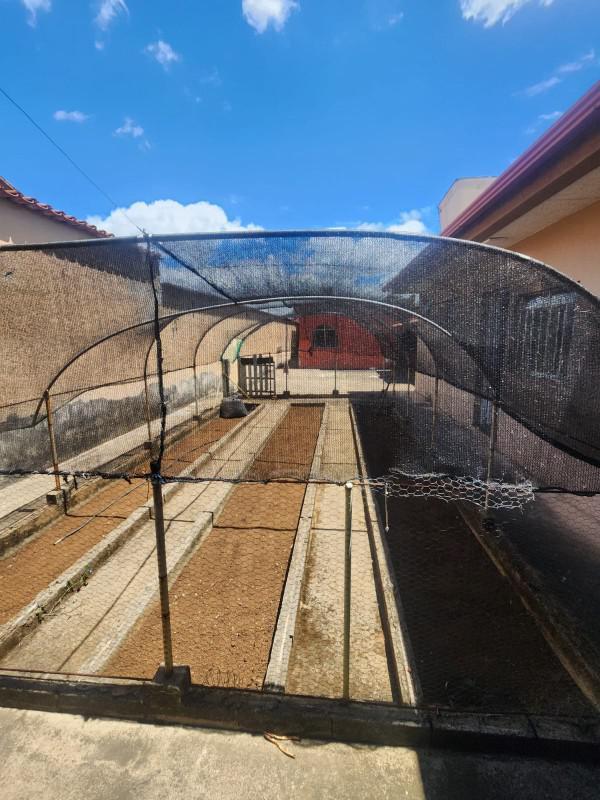 Casa, Novo Progresso, 6 Quartos, 6 Vagas, 1 Suíte