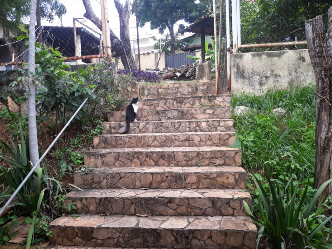 Lote, Venda Nova, 0 Quarto, 0 Vaga