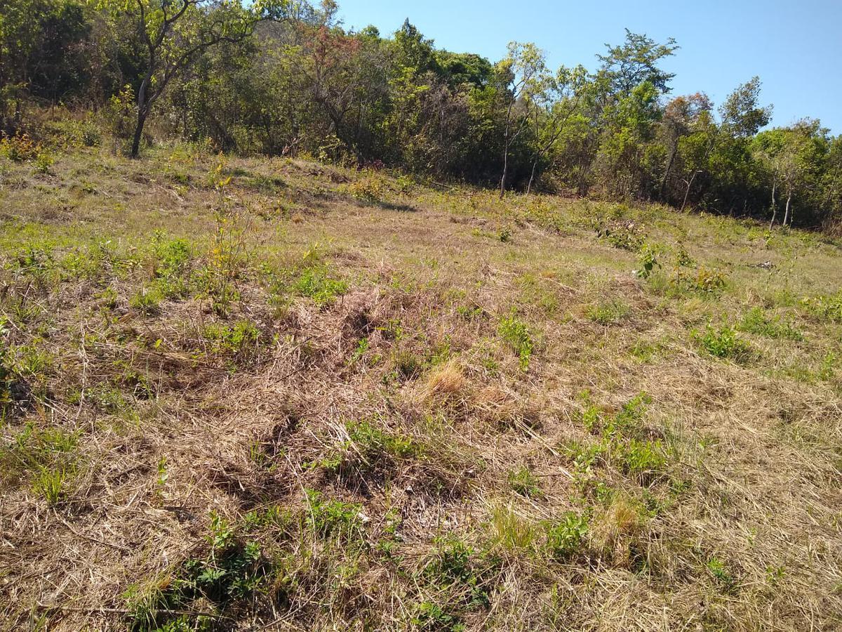 Lote, Zona Rural, 0 Quarto, 0 Vaga