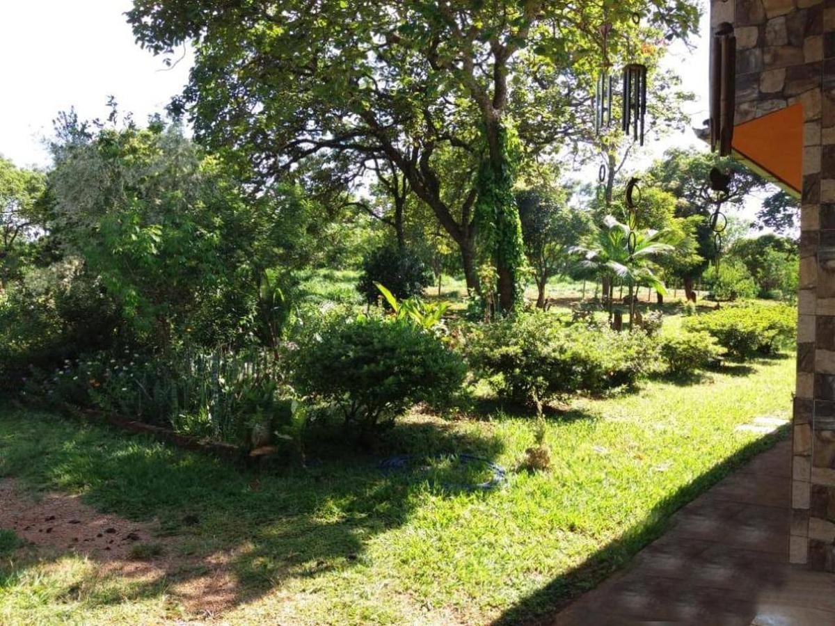 Fazenda, Centro, 4 Quartos, 0 Vaga, 1 Suíte