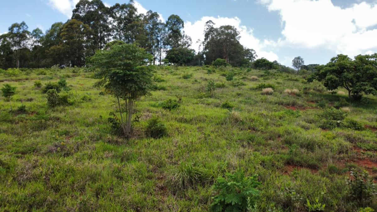 Fazenda, Zona Rural, 0 Quarto, 0 Vaga