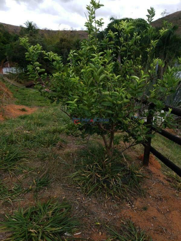 Fazenda, São José, 1 Quarto, 5 Vagas