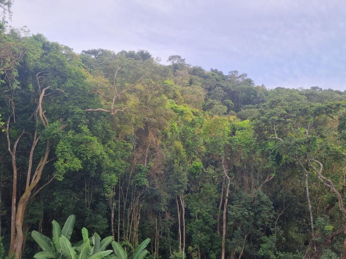 Casa, São Sebastião das Águas Claras, 4 Quartos, 6 Vagas, 2 Suítes