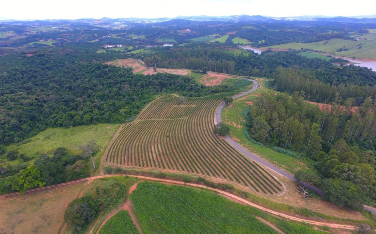 Fazenda, Zona Rural, 0 Quarto, 0 Vaga