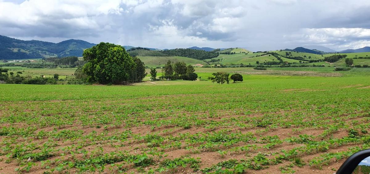 Fazenda, Centro, 1 Quarto, 1 Vaga, 1 Suíte