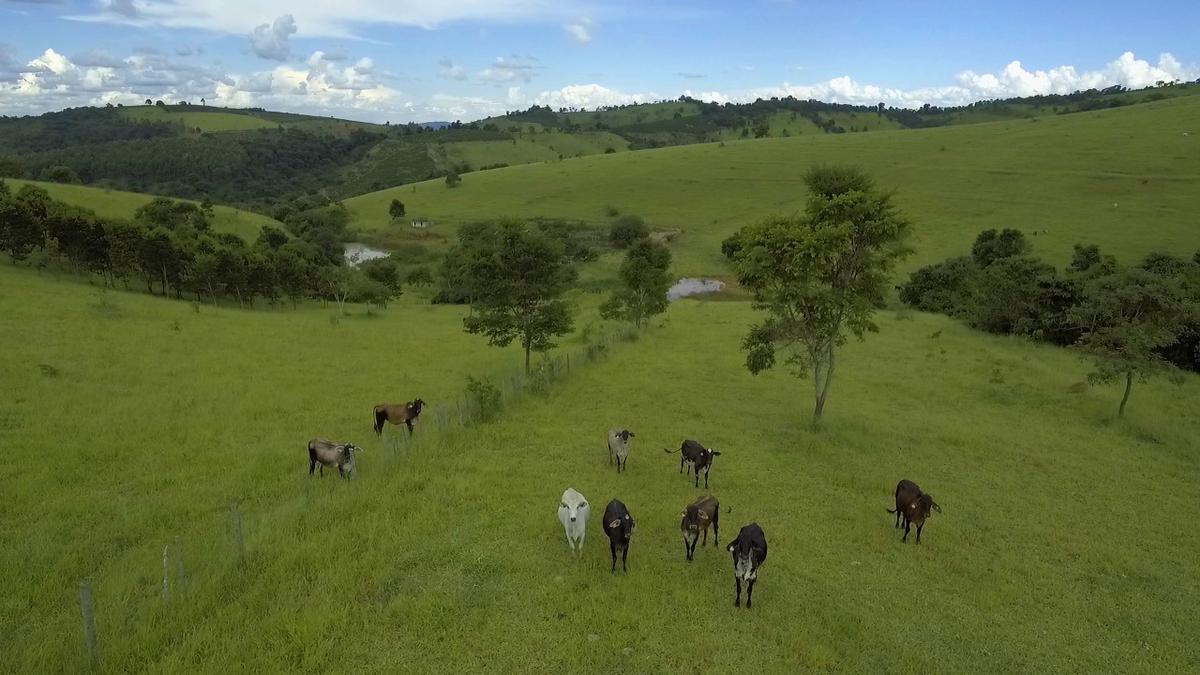 Fazenda, Centro, 1 Quarto, 1 Vaga