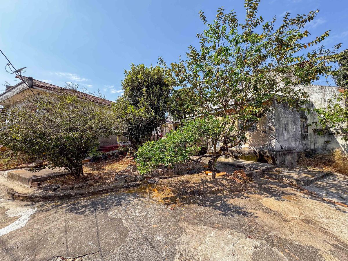 Lote, Sagrada Família, 0 Quarto, 0 Vaga