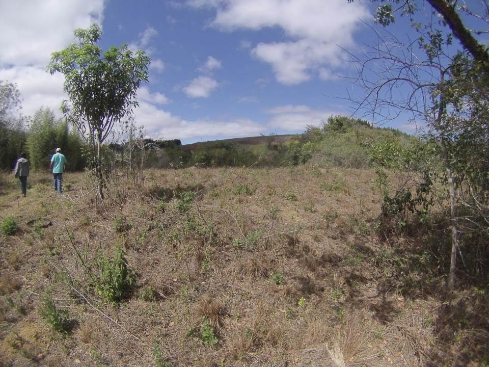 Fazenda, Centro, 1 Quarto, 0 Vaga