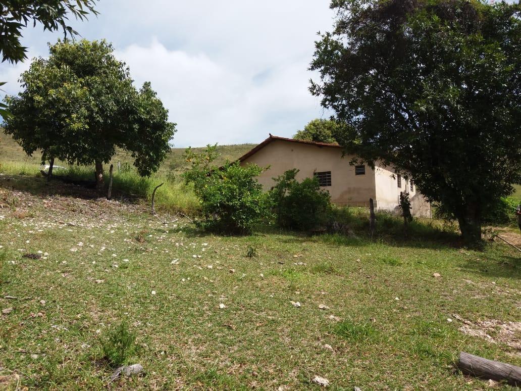 Fazenda, Centro, 0 Quarto, 0 Vaga