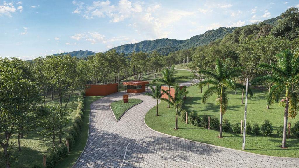 Lote, Quintas da Serra, 0 Quarto, 0 Vaga