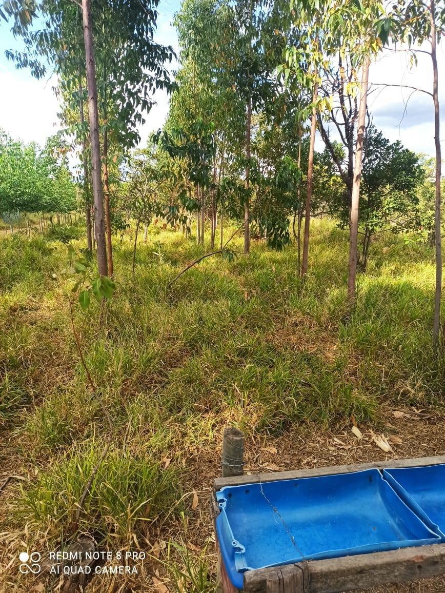 Fazenda, Zona Rural, 0 Quarto, 0 Vaga