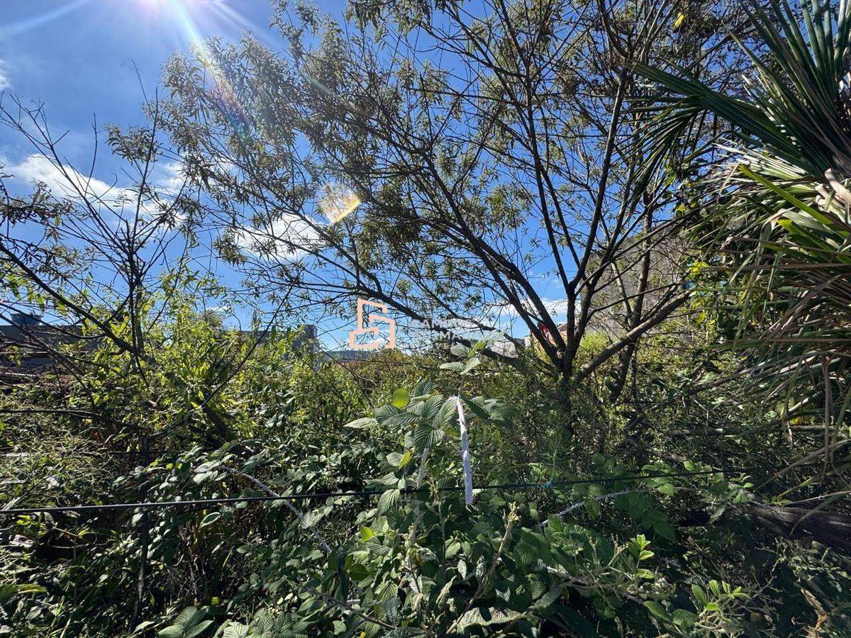 Lote, Jardim Canadá
