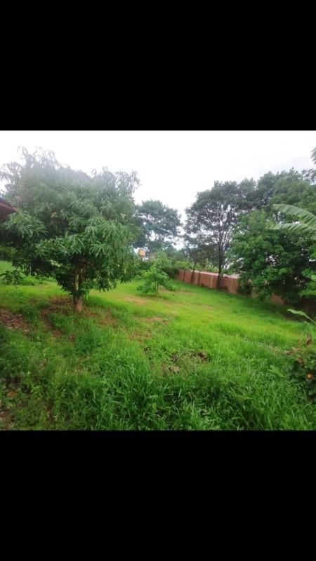 Fazenda, Dumaville, 3 Quartos, 10 Vagas