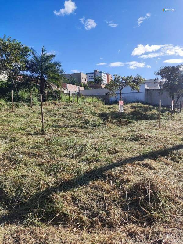 Lote, Novo Centro, 0 Quarto, 0 Vaga
