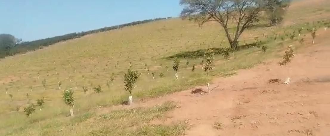 Fazenda, Zona Rural, 3 Quartos, 0 Vaga