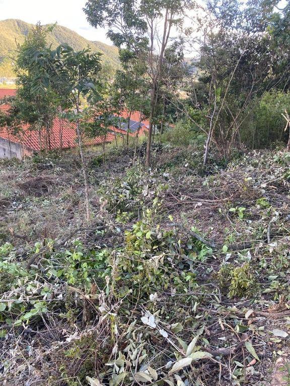 Lote, Água Férrea, 0 Quarto, 0 Vaga