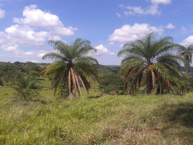 Lote, Sobradinho