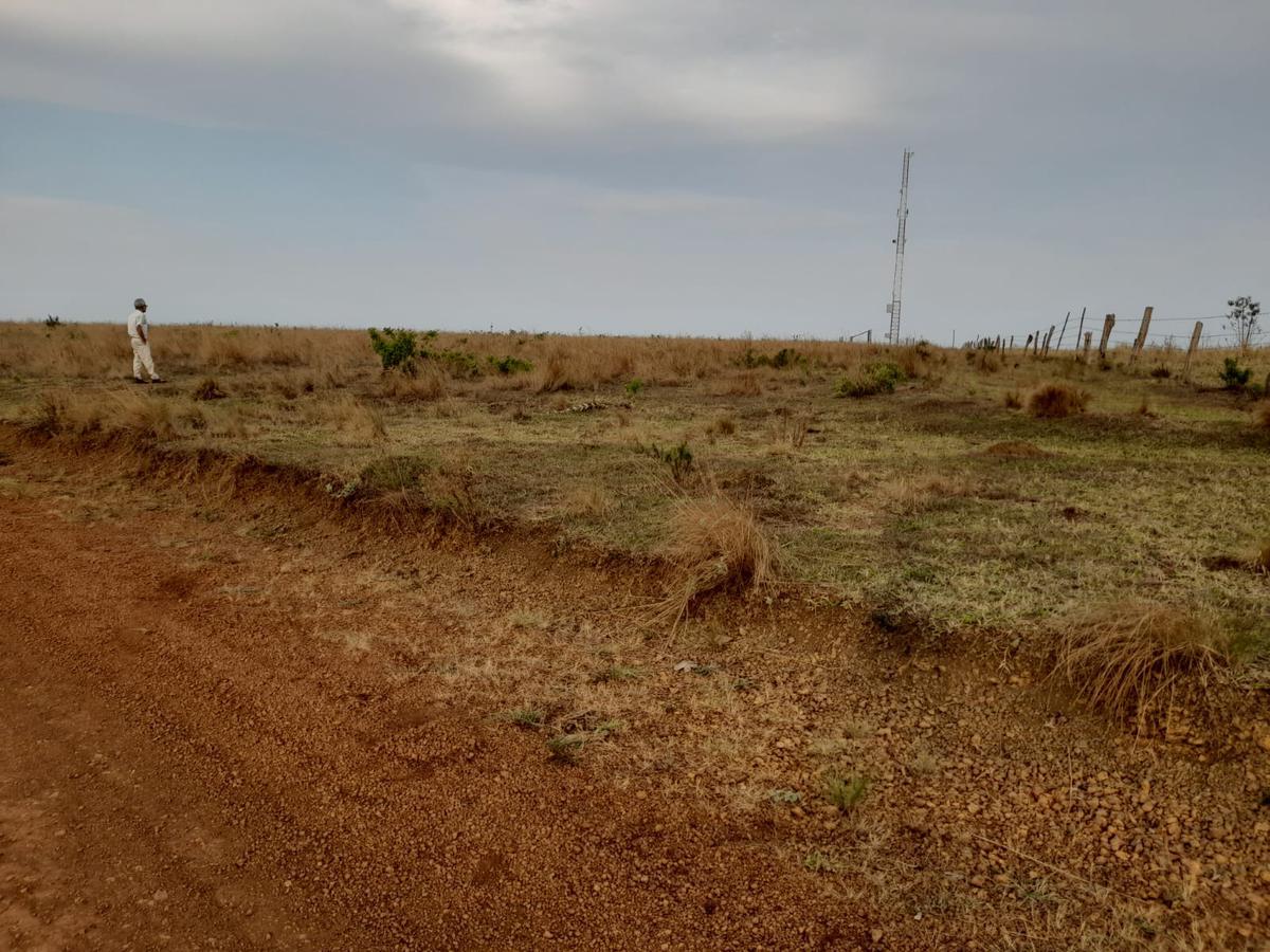 Fazenda, Zona Rural, 0 Quarto, 0 Vaga