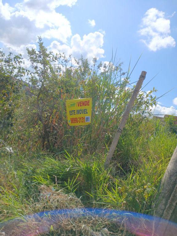 Lote, Vila Rica, 0 Quarto, 0 Vaga