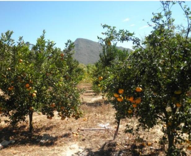 Fazenda, Centro, 3 Quartos, 0 Vaga