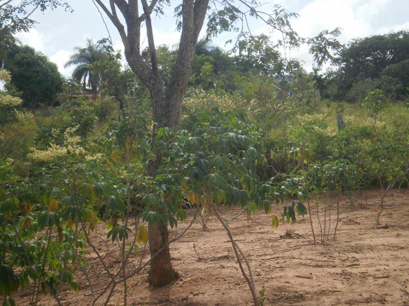 Fazenda, São José, 2 Quartos, 0 Vaga, 2 Suítes