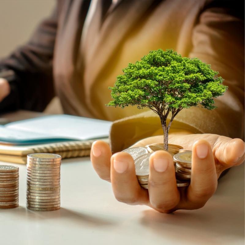 Lote, Quintas do Godoy, 0 Quarto, 0 Vaga