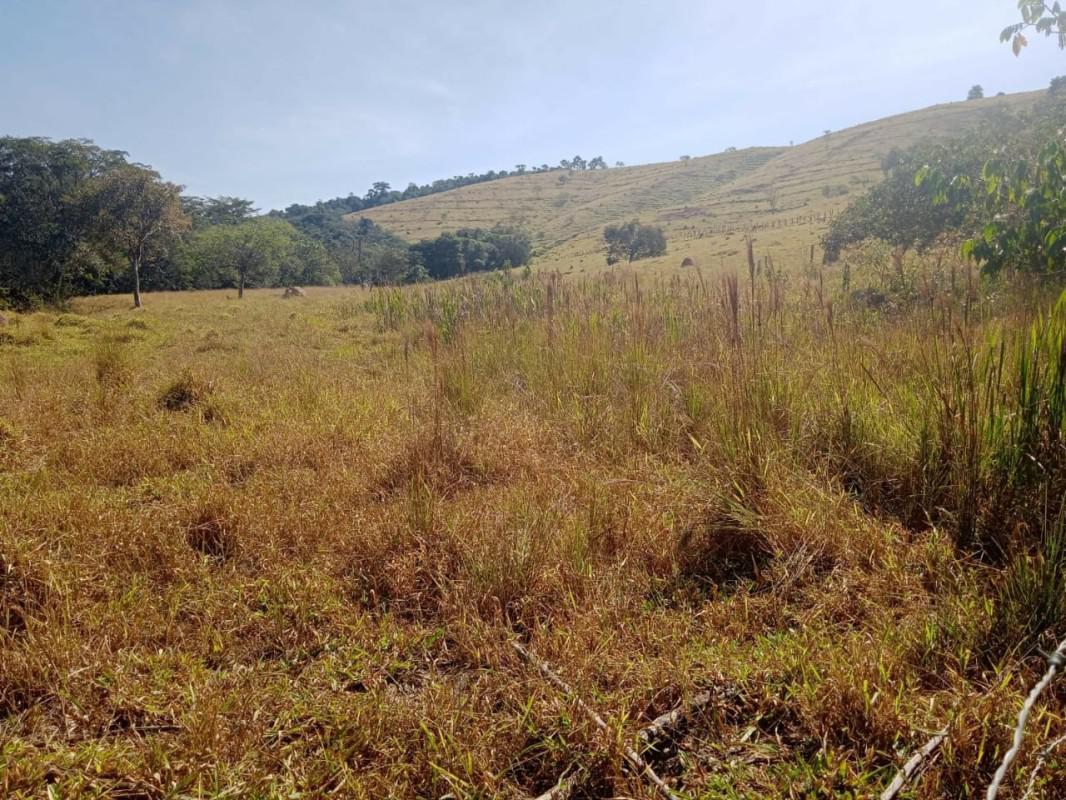 Fazenda, Centro, 0 Quarto, 0 Vaga