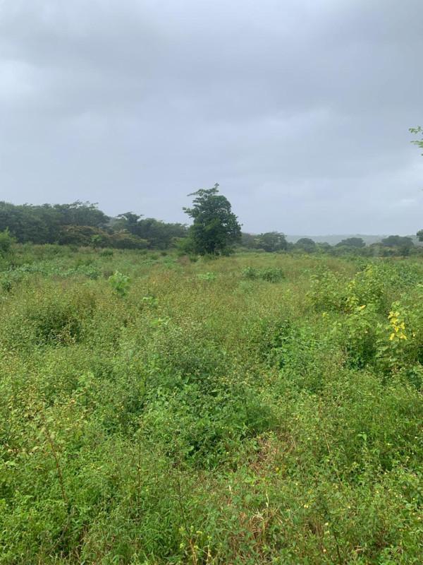 Fazenda, Zona Rural, 0 Quarto, 0 Vaga