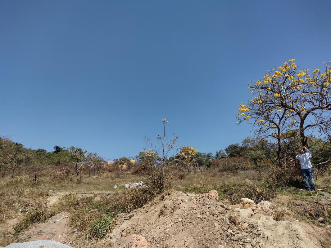 Lote, Chácara São Geraldo, 0 Quarto, 0 Vaga