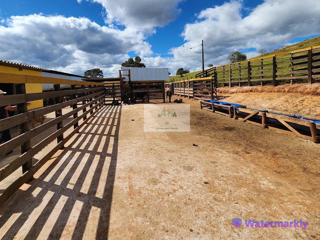 Fazenda, Centro, 6 Quartos, 4 Vagas, 1 Suíte