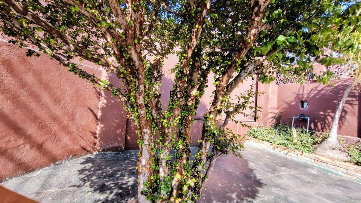 Casa, Carlos Prates, 3 Quartos, 2 Vagas