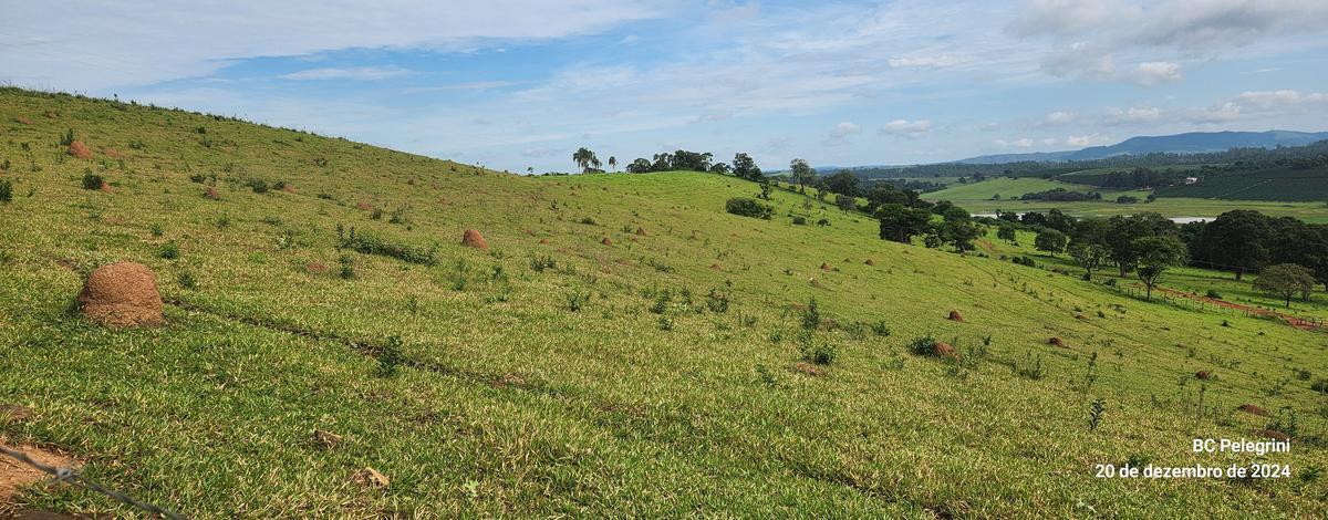 Fazenda, Zona Rural, 0 Quarto, 0 Vaga