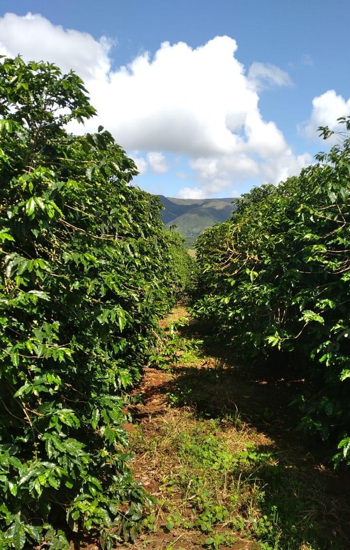 Fazenda, Zona Rural, 1 Quarto, 0 Vaga