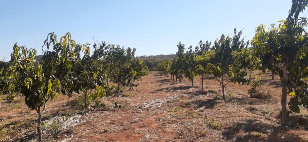 Lote, Centro, 3 Quartos, 0 Vaga