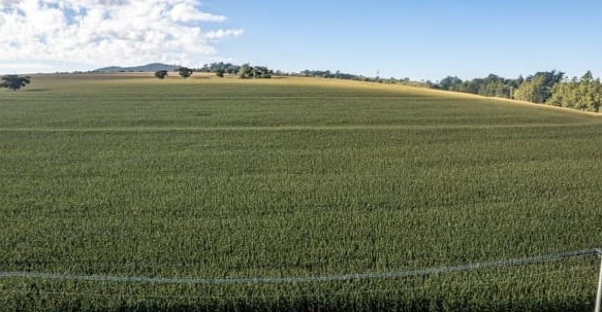 Fazenda, Zona Rural, 0 Quarto, 0 Vaga