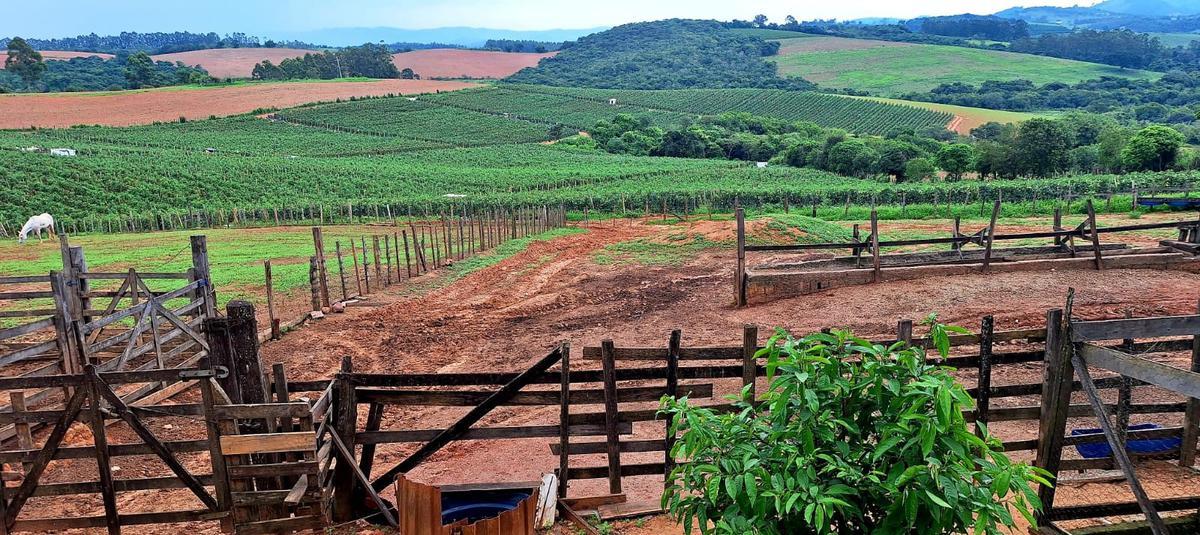 Fazenda, Zona Rural, 3 Quartos, 0 Vaga