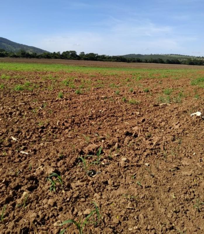 Fazenda, Zona Rural, 0 Quarto, 0 Vaga