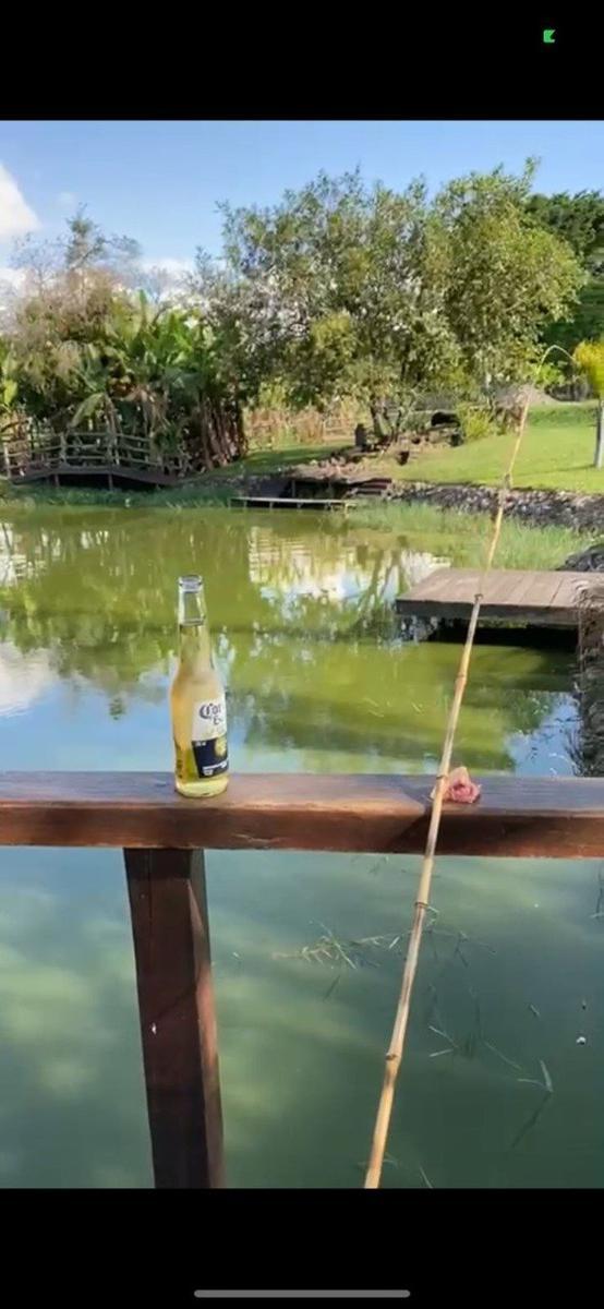 Lote, Novo Horizonte