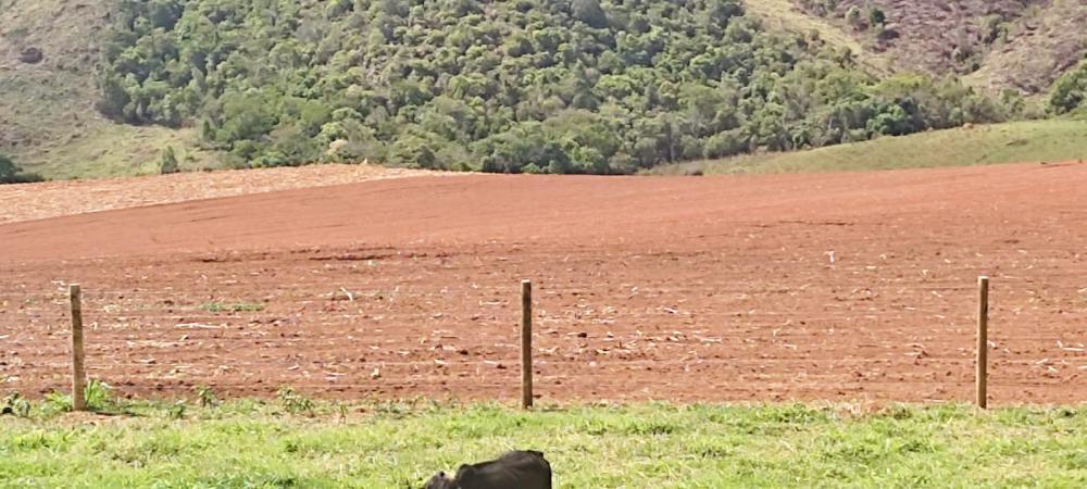 Fazenda, Centro, 3 Quartos, 1 Vaga