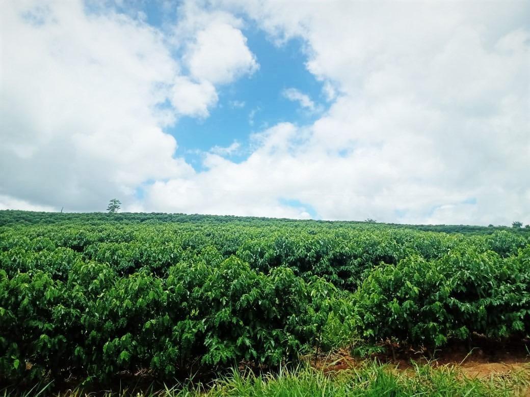 Fazenda, São Sebastião da Estrela, 1 Quarto, 1 Vaga, 1 Suíte