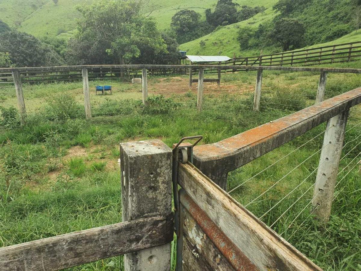 Fazenda, Zona Rural, 4 Quartos, 0 Vaga