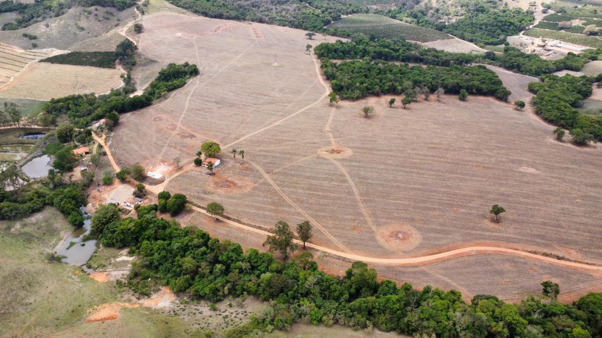 Fazenda, Zona Rural, 0 Quarto, 0 Vaga