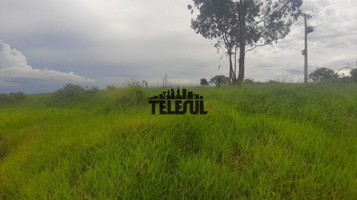 Lote, Vila Paiva, 0 Quarto, 0 Vaga