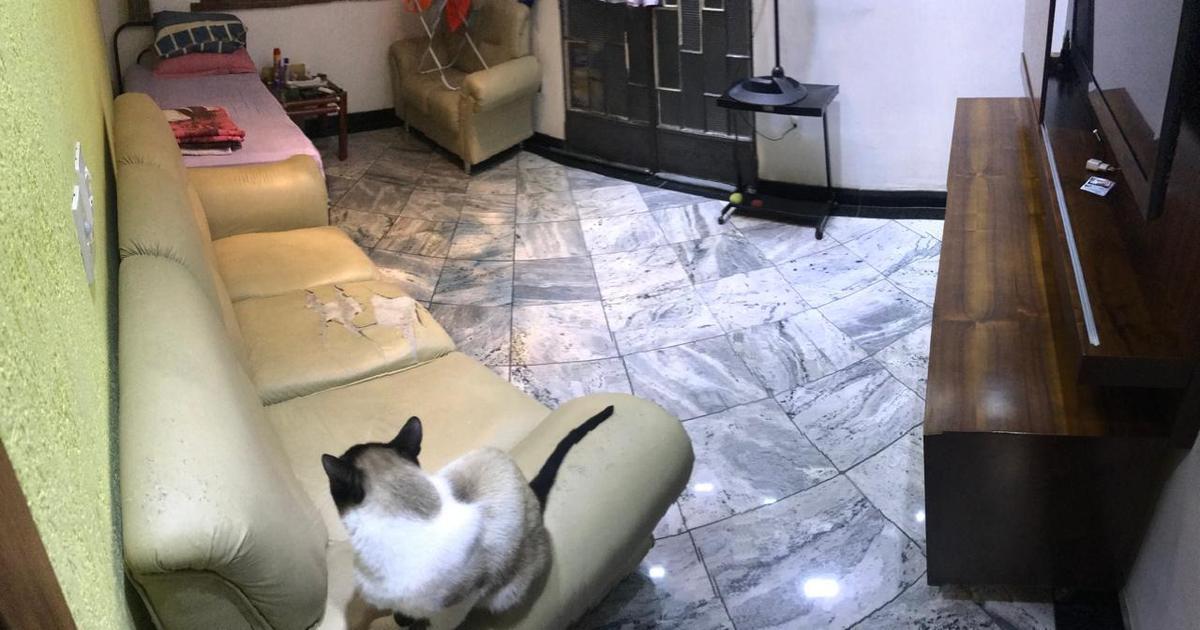 Casa, Sagrada Família, 3 Quartos, 2 Vagas