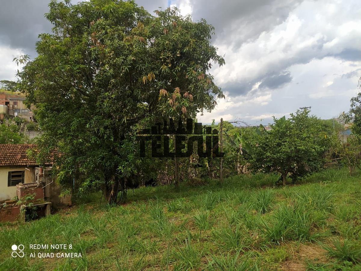 Lote, Conjunto Habitacional Sion, 0 Quarto, 0 Vaga