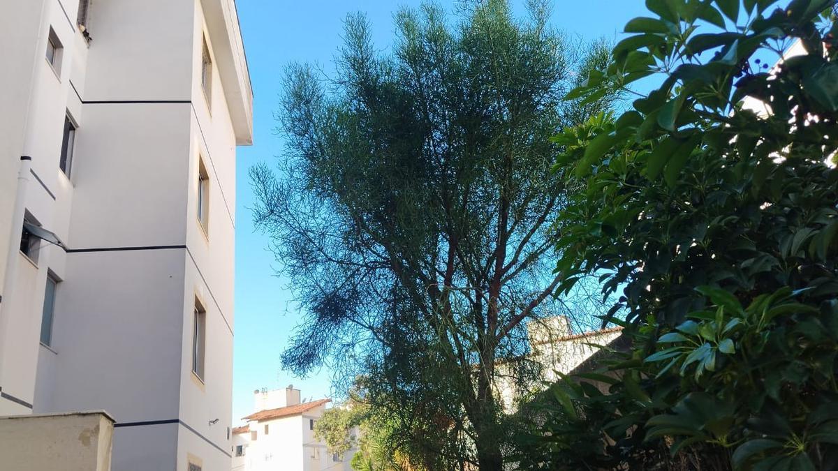 Apartamento, Rio Branco, 3 Quartos, 1 Vaga