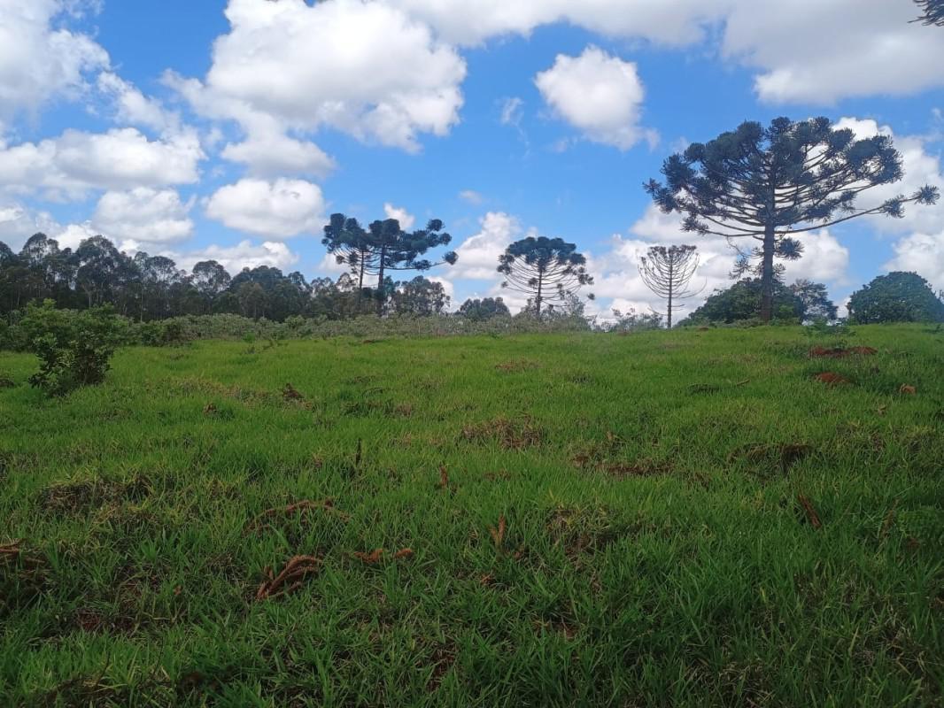 Fazenda, Zona Rural, 0 Quarto, 0 Vaga