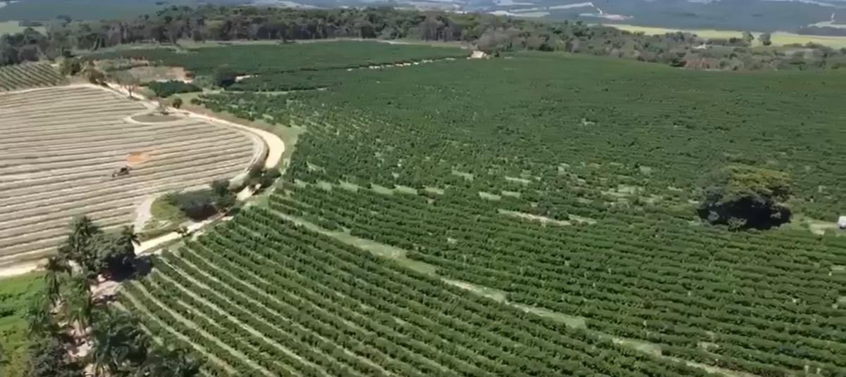Fazenda, Zona Rural, 0 Quarto, 0 Vaga