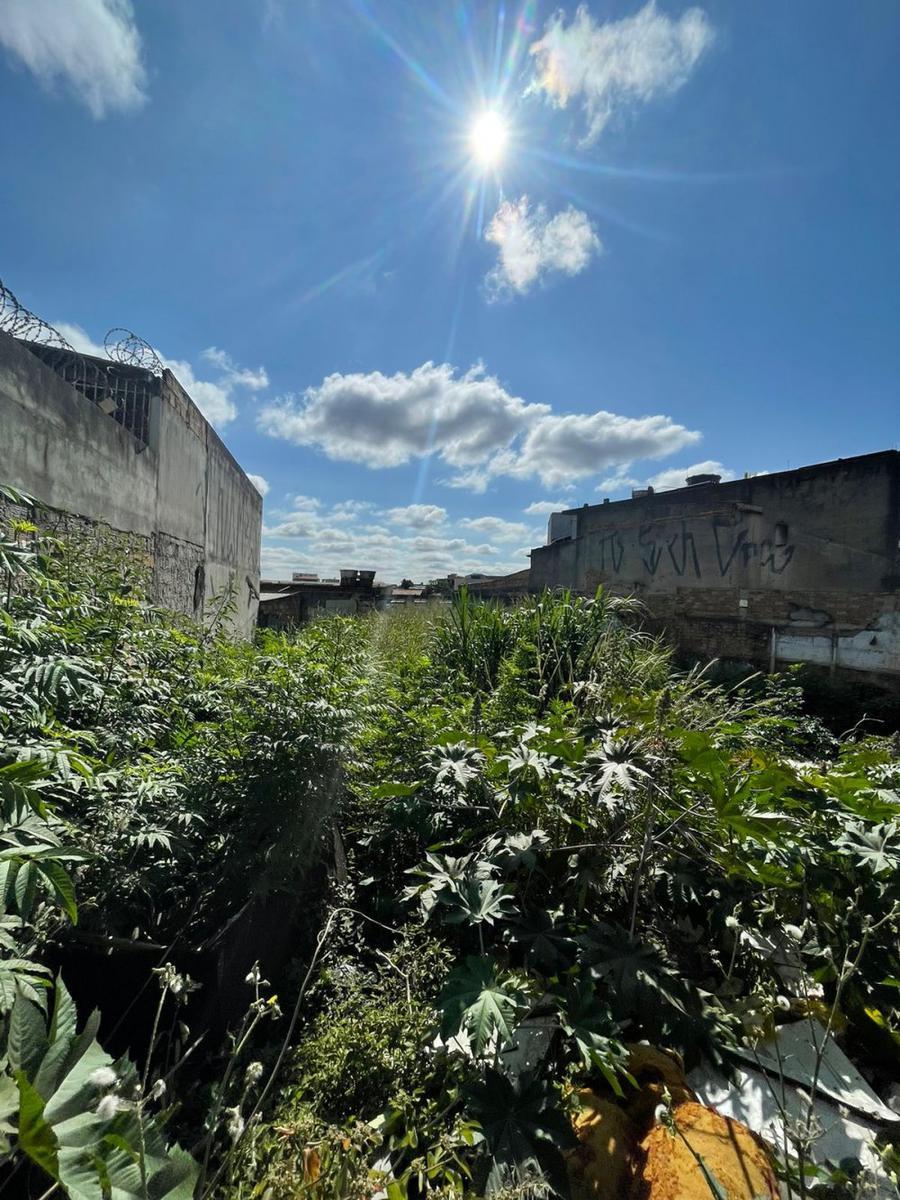 Lote, Tirol, 0 Quarto, 0 Vaga