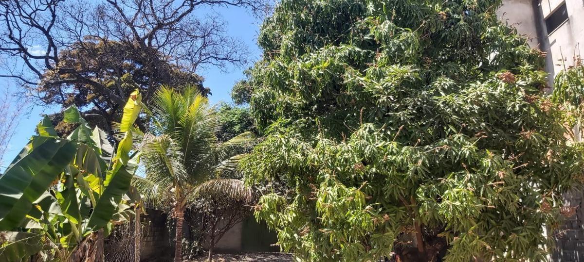 Lote, Trevo, 0 Quarto, 0 Vaga